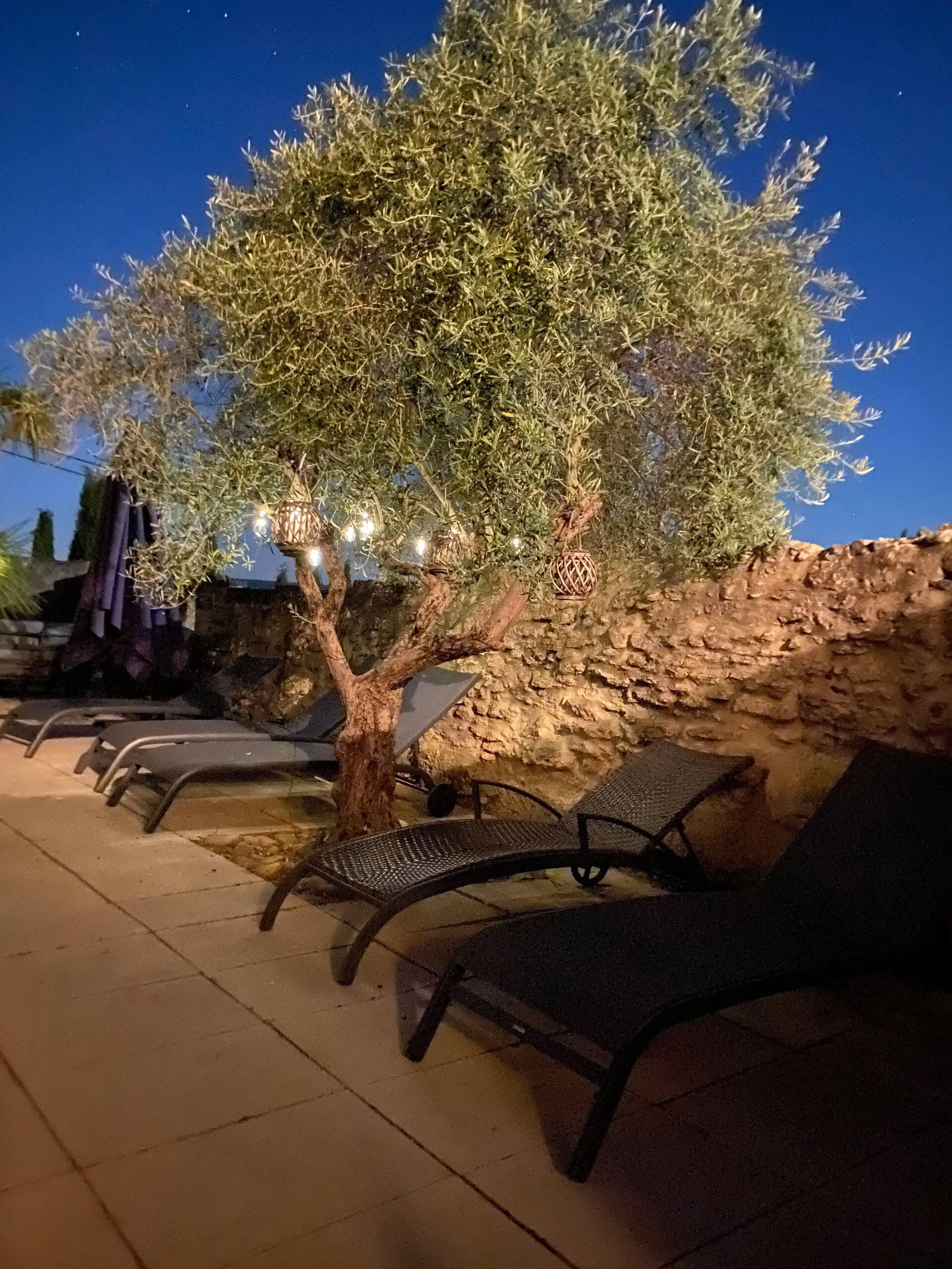 Les transats sous l'olivier. — extérieurs du mas familial à Sanilhac-Sagriès, près du Pont du Gard
